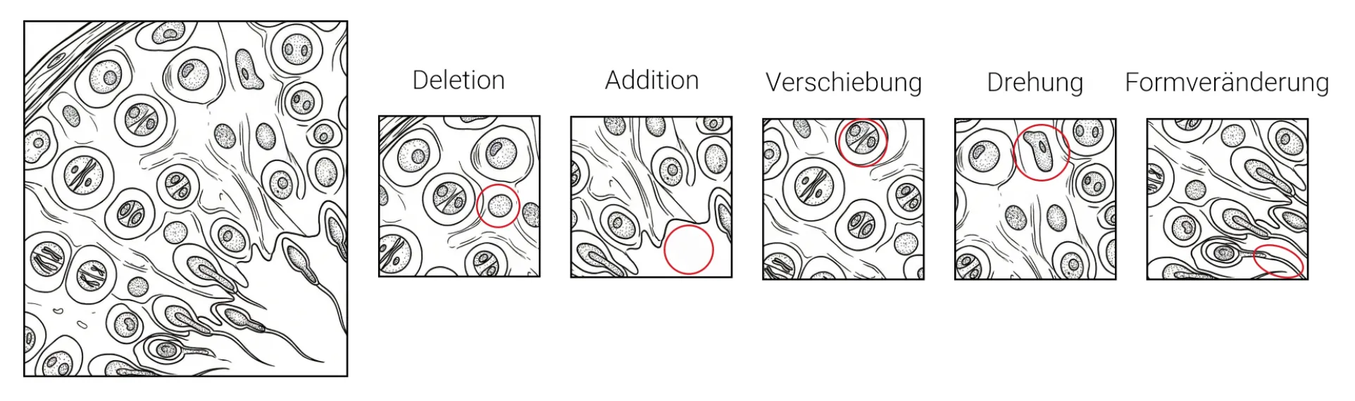 Beispiele für Fehlerarten bei Muster zuordnen: Addition, Deletion, Verschiebung, Drehung und Formveränderung