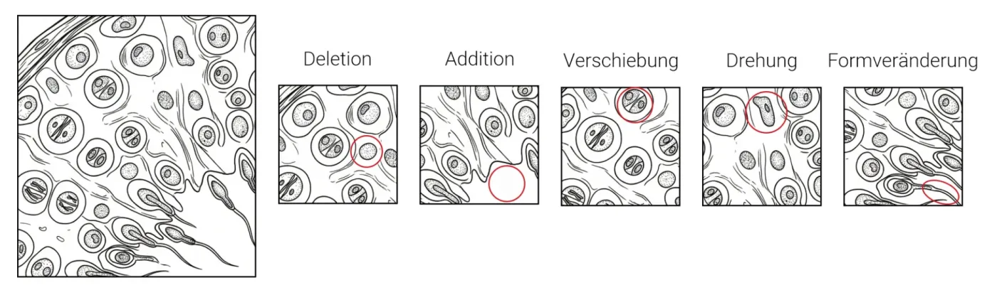 Beispiele für Fehlerarten bei Muster zuordnen: Addition, Deletion, Verschiebung, Drehung und Formveränderung