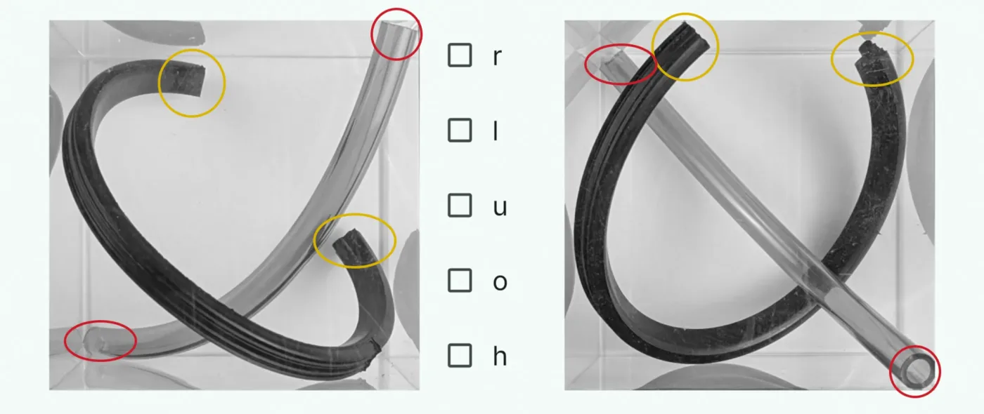 Unmarkiertes Schlauchfiguren-Beispiel für eine Kippung